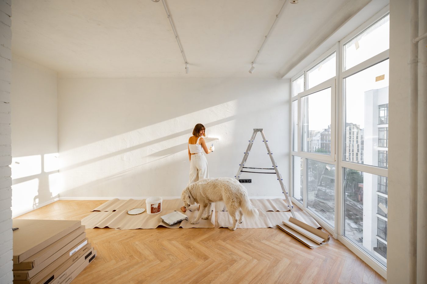 Suivi de travaux de rénovation